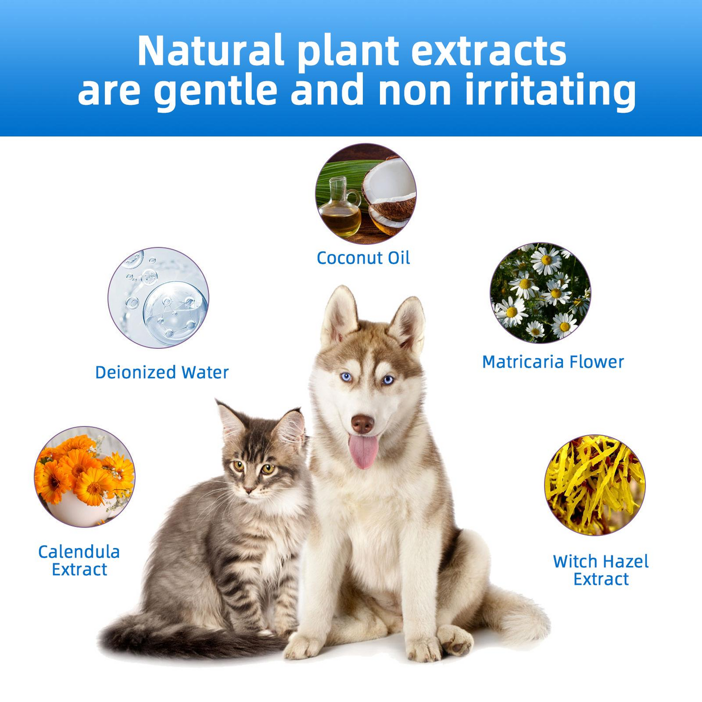 Gentle Pet Ear Wash | Odor-Free Cleaning for Dogs & Cats