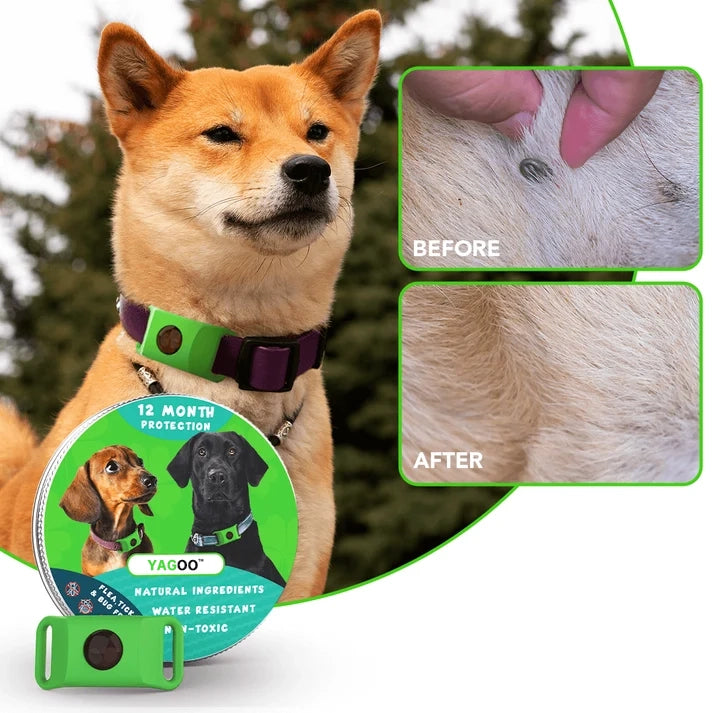 Yagoo™ 12 Months Flea and Tick Free